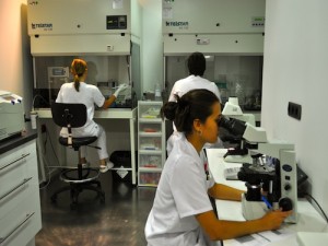Instituto Marques - acima.es